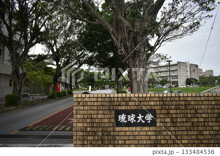 琉球大学 133484536