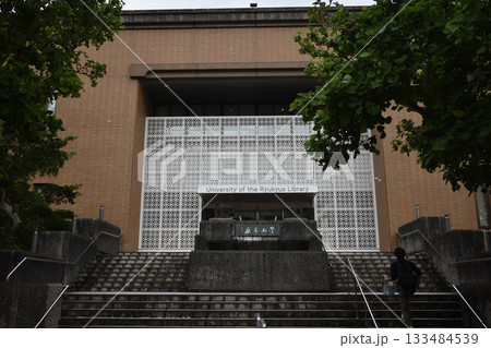 琉球大学 133484539