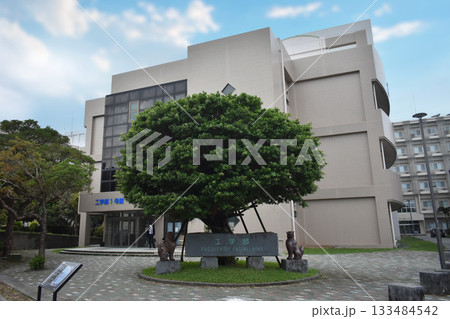 琉球大学 琉球大学 133484542