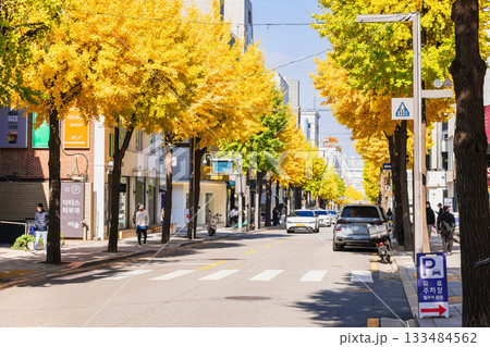秋のソウル 江南 カロスキル ※一部ソフトフォーカス 秋のソウル 江南 カロスキル ※一部ソフトフォーカス 133484562