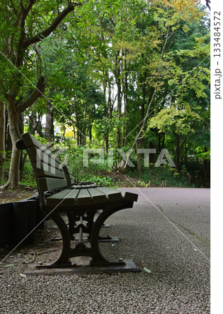 緑に囲まれた深呼吸したくなるベンチのある場所 緑に囲まれた深呼吸したくなるベンチのある場所 133484572