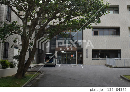 琉球大学 133484583