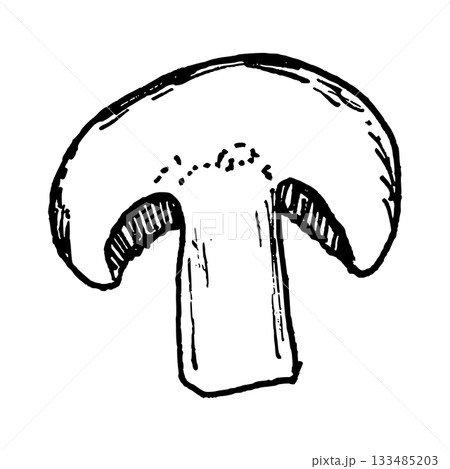 Detailed black and white line art illustration of a mushroom cap and stem. Ideal for pizza toppings, soups, salads, risotto and vegetarian food graphics for menus and recipes. 133485203