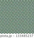Green White checkered abstract background. Woven polymer seamless pattern surface. Graphic design vector illustration for Cover Banner Backdrop Poster Flyer Party Decor Template Event Greeting Card 133485237