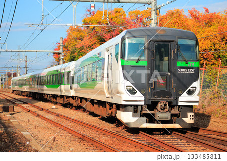 錦秋の青梅線を往くE257系5500番台。 133485811