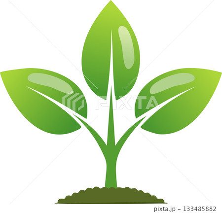A clean graphic of a young plant with three vibrant leaves rising from the ground representing natural growth 133485882