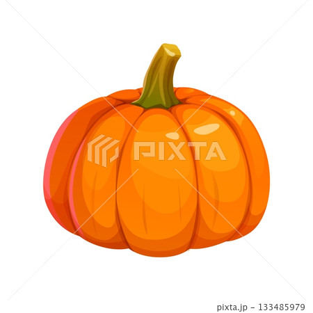 Cartoon autumn Halloween pumpkin vegetable. Orange Thanksgiving fall season squash. Huge ripe farm gourd plant for holiday and culinary 133485979