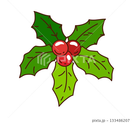 Groovy Christmas holly berry sprig with vibrant red fruits and glossy green leaves. Vector retro 70s style plant with bright red berries for winter holiday parties and funky gift wrapping 133486207