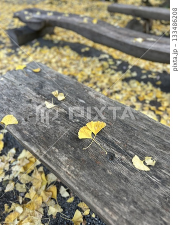 ベンチに落ちた紅葉した銀杏の葉 133486208