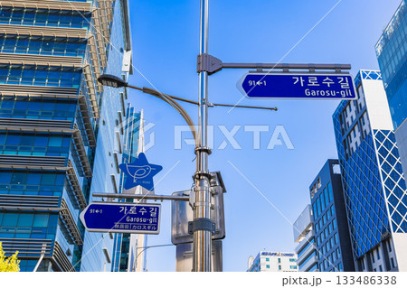 ソウル　江南　カロスキル（街路樹通り）の案内板 133486338