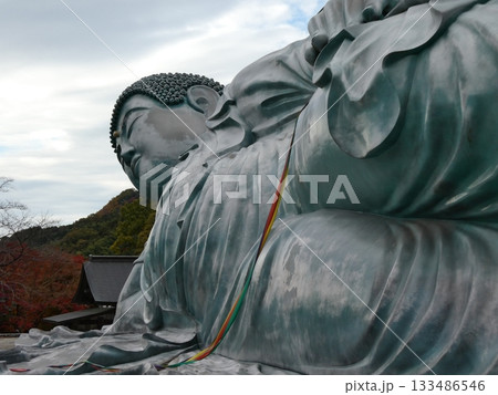 南蔵院の釈迦涅槃像 133486546