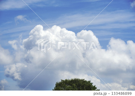 砥峰高原の朝の風景 砥峰高原の朝の風景 133486899