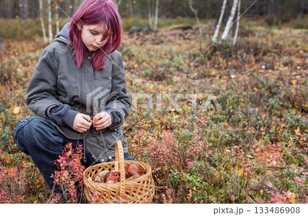 Girl foraging wild mushrooms in autumn forest 133486908
