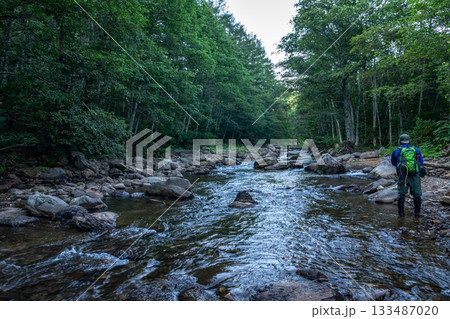 福島県桧枝岐村の夏の渓流で沢登り（釣り）を楽しむ男性 133487020