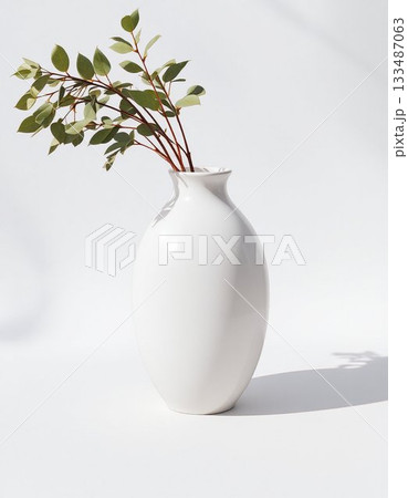 plant in vase plant in vase 133487063