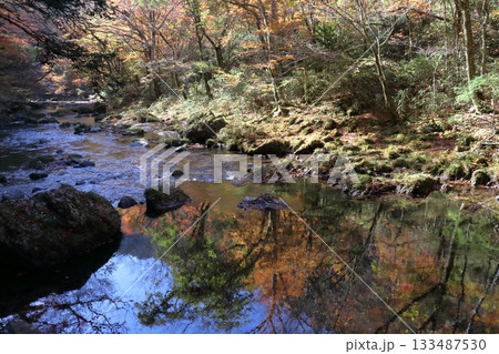 水面を彩る紅葉 小田深山渓谷 (愛媛県) 水面を彩る紅葉 小田深山渓谷 (愛媛県) 133487530