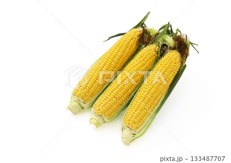 白バックのひげ付きとうもろこし 133487707
