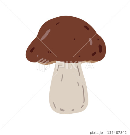 A brown mushroom 133487842