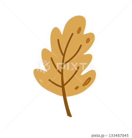 Yellow oak leaf 133487845
