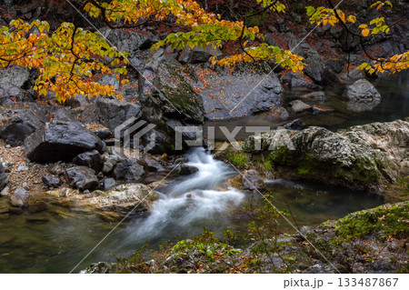 紅葉に染まる山口県・長門峡の渓谷を流れる清らかな水	 133487867