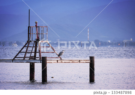 彦根市　琵琶湖畔の風景 133487898