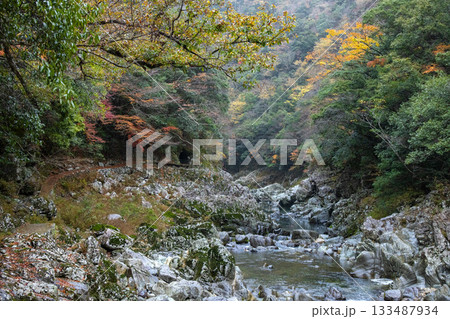 苔むした岩々と紅葉が織りなす山口県・長門峡の渓谷美 133487934
