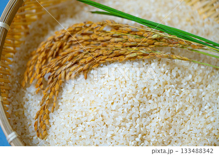 Rice grains in a wooden basket with a ear of rice. Healthy natural food in Korea Rice grains in a wooden basket with a ear of rice. Healthy natural food in Korea 133488342