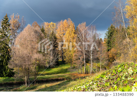 Cloudy autumn day. 133488390