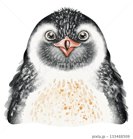 Emperor Penguin Watercolor Portrait 133488509