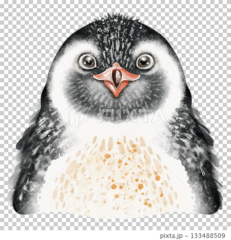 Emperor Penguin Watercolor Portrait 133488509