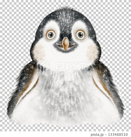 Emperor Penguin Watercolor Portrait 133488510