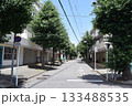 横浜市 瀬谷駅南口周辺のいちょう通り 横浜市 瀬谷駅南口周辺のいちょう通り 133488535