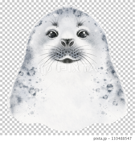 Cute Seal Portrait Watercolor Illustration 133488547