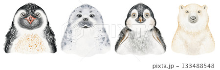 Polar Animals Portraits Watercolor Illustration 133488548