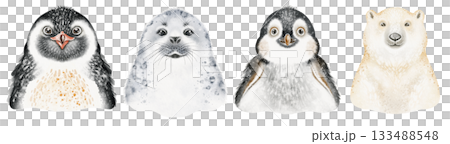 Polar Animals Portraits Watercolor Illustration 133488548