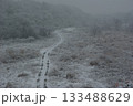 雪の積もった河川敷に車の通った跡が残ってどこまでも続いている。 133488629