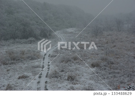 雪の積もった河川敷に車の通った跡が残ってどこまでも続いている。 雪の積もった河川敷に車の通った跡が残ってどこまでも続いている。 133488629