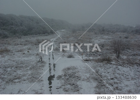 雪の積もった河川敷に車の通った跡が残ってどこまでも続いている。 雪の積もった河川敷に車の通った跡が残ってどこまでも続いている。 133488630