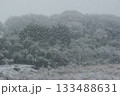 雪の積もった河川敷に車の通った跡が残ってどこまでも続いている。 133488631