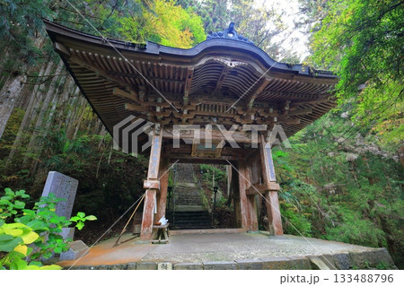 【愛媛県】岩屋寺の山門 133488796