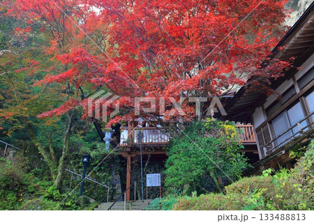 【愛媛県】晴天の岩屋寺と紅葉 133488813