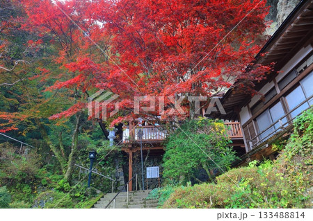 【愛媛県】晴天の岩屋寺と紅葉 133488814