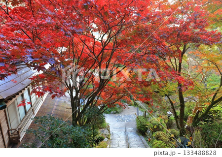 【愛媛県】晴天の岩屋寺と紅葉 【愛媛県】晴天の岩屋寺と紅葉 133488828