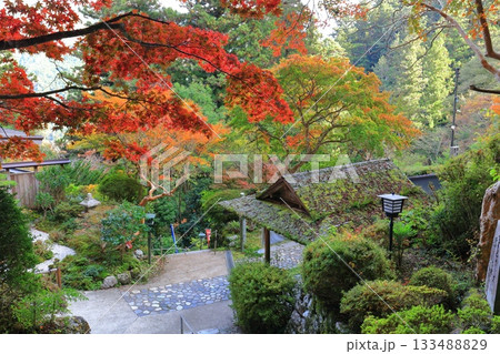 【愛媛県】晴天の岩屋寺と紅葉 【愛媛県】晴天の岩屋寺と紅葉 133488829
