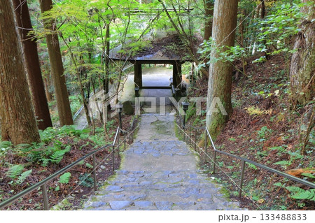 【愛媛県】岩屋寺の山門 133488833