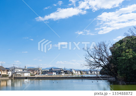 河内大塚山古墳・墳丘に続く道 河内大塚山古墳・墳丘に続く道 133488872