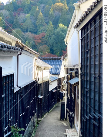 漆喰の白壁と黒い板壁が紅葉に映える、レトロなマンリン小路〈足助宿/愛知県豊田市足助町〉 133489061