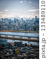東京のビル群と富士山 133489110