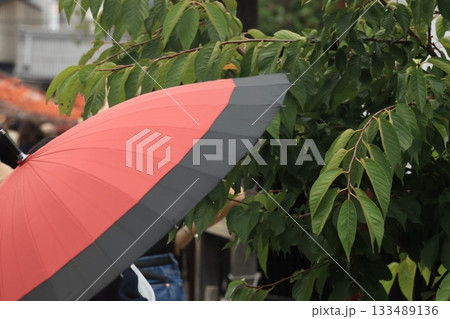赤い雨傘 赤い雨傘 133489136