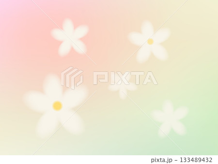 White floral spring background for March 8 greeting White floral spring background for March 8 greeting 133489432